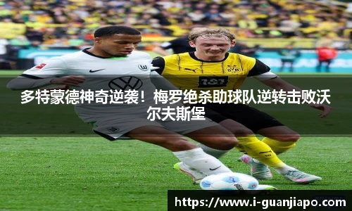 管家婆官网资料